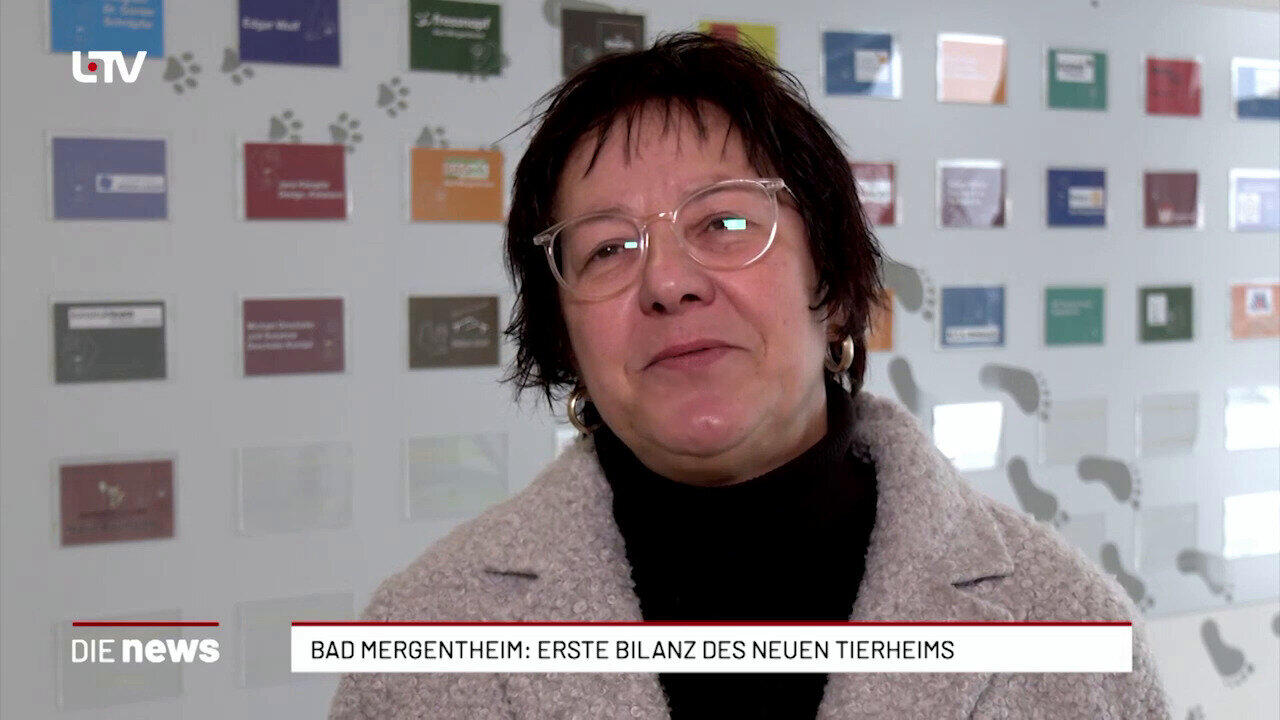 Bad Mergentheim: Erste Bilanz des neuen Tierheims 
