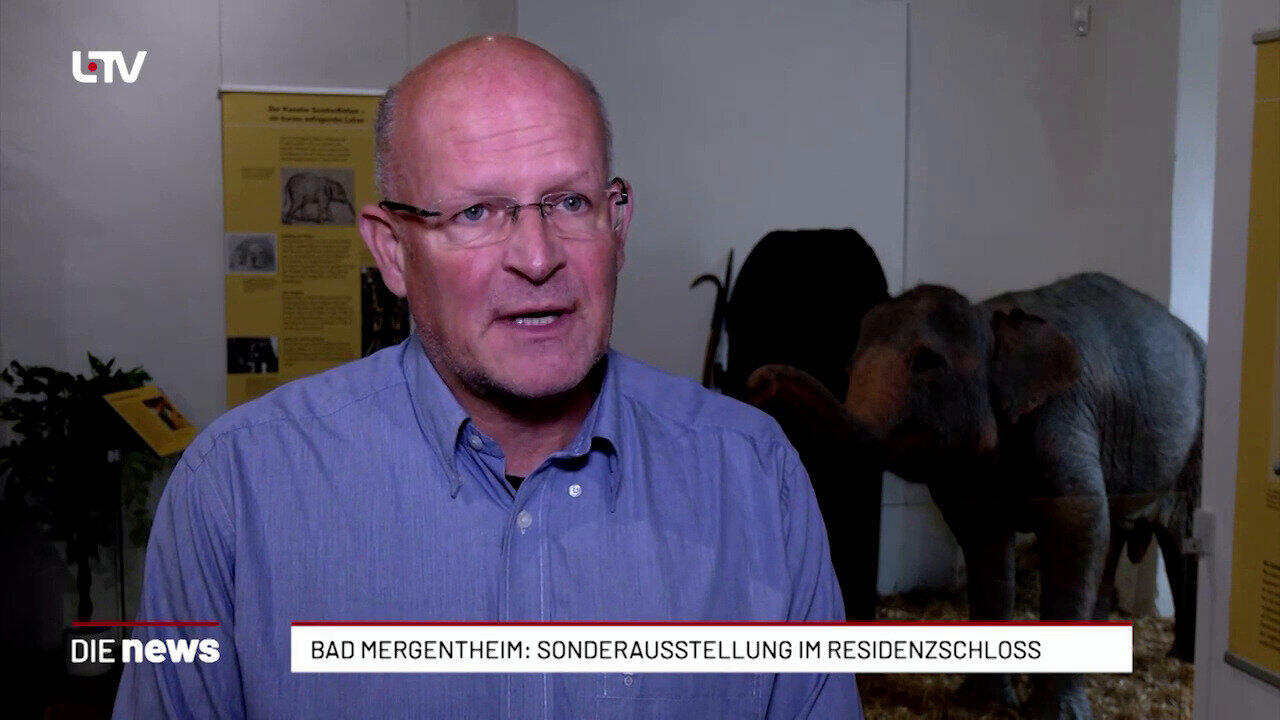 Bad Mergentheim: Sonderausstellung im Residenzschloss