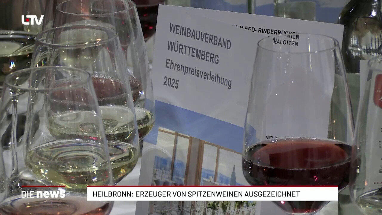 Heilbronn: Erzeuger von Spitzenweinen ausgezeichnet