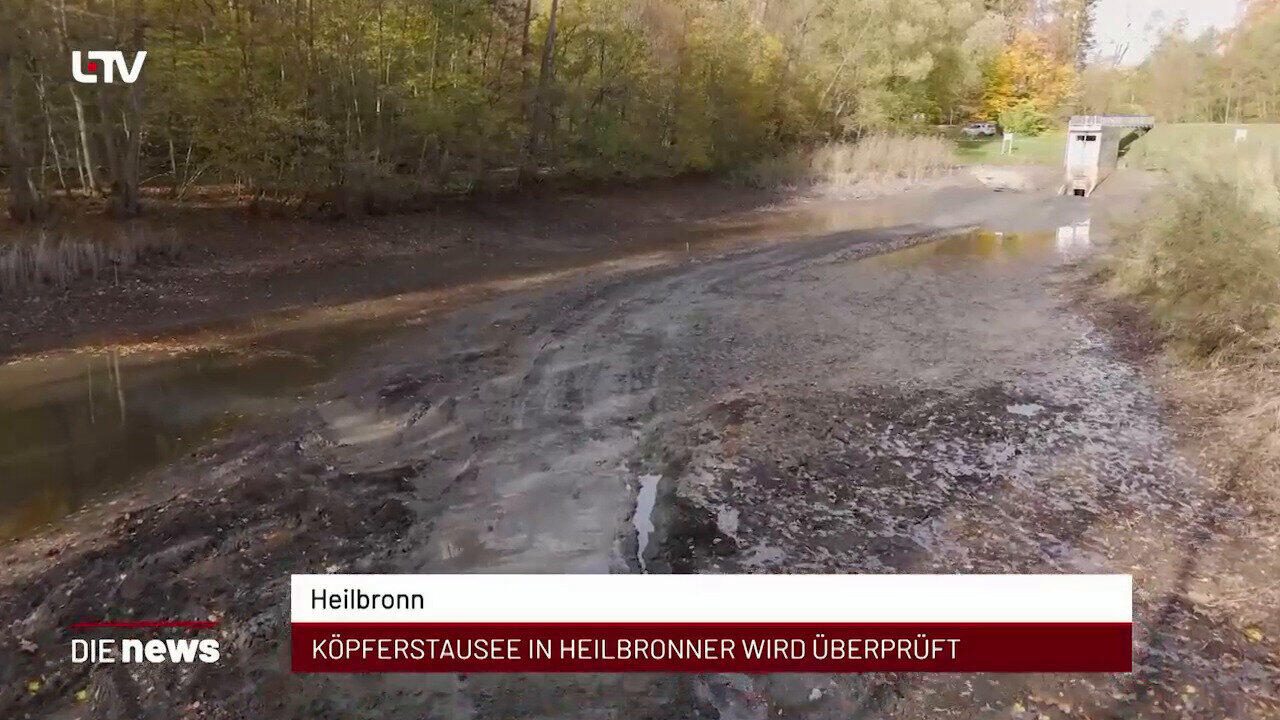 Newsblock: Heilbronn: Köpferstausee in Heilbronner wird überprüft +++ Heilbronn: Füße werden immer wichtiger +++ Cleebr 
