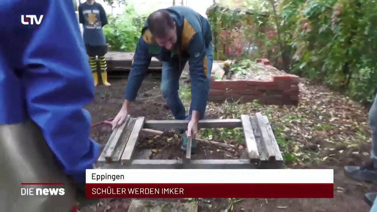 Newsblock: Eppingen: Schüler werden Imker +++ Bad Rappenau: Bademode schlägt Wellen +++ Heilbronn: Zusatzveranstaltung m