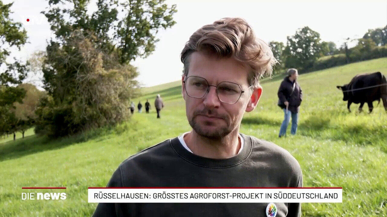 Rüsselhausen: Grösstes Agroforst-Projekt in Süddeutschland 