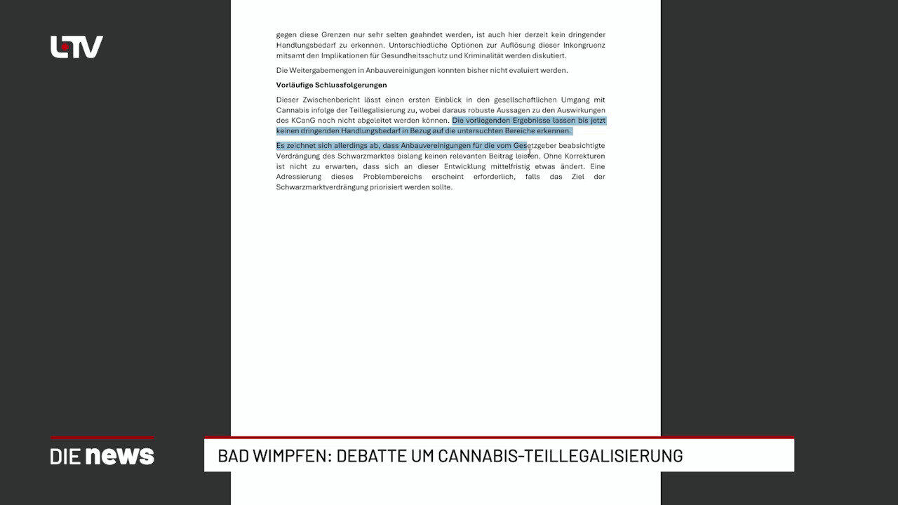 Bad Wimpfen: Debatte um Cannabis-Teillegalisierung