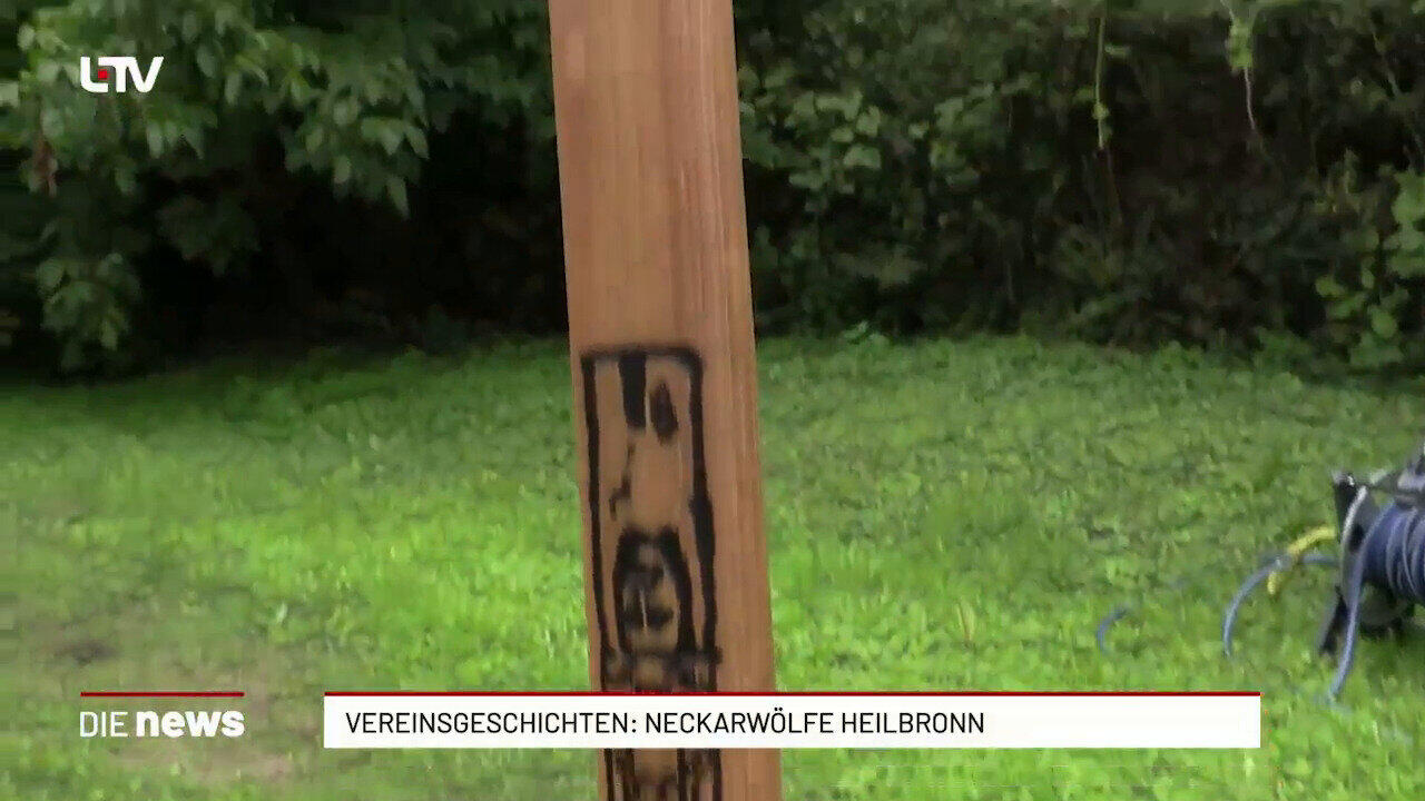 Vereinsgeschichten: Neckarwölfe Heilbronn