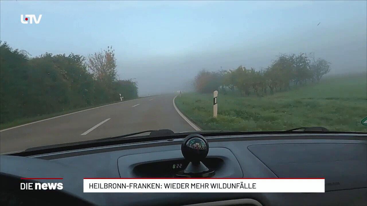 Heilbronn-Franken: Wieder mehr Wildunfälle
