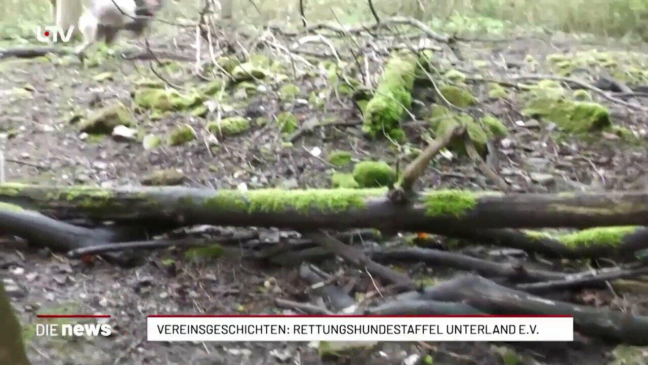 Vereinsgeschichten: Rettungshundestaffel Unterland E.V.