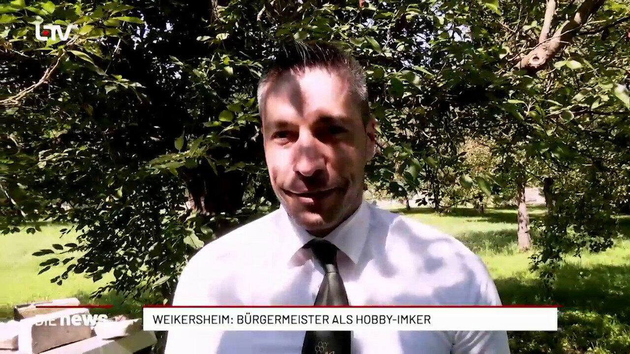 Weikersheim: Bürgermeister als Hobby-Imker 
