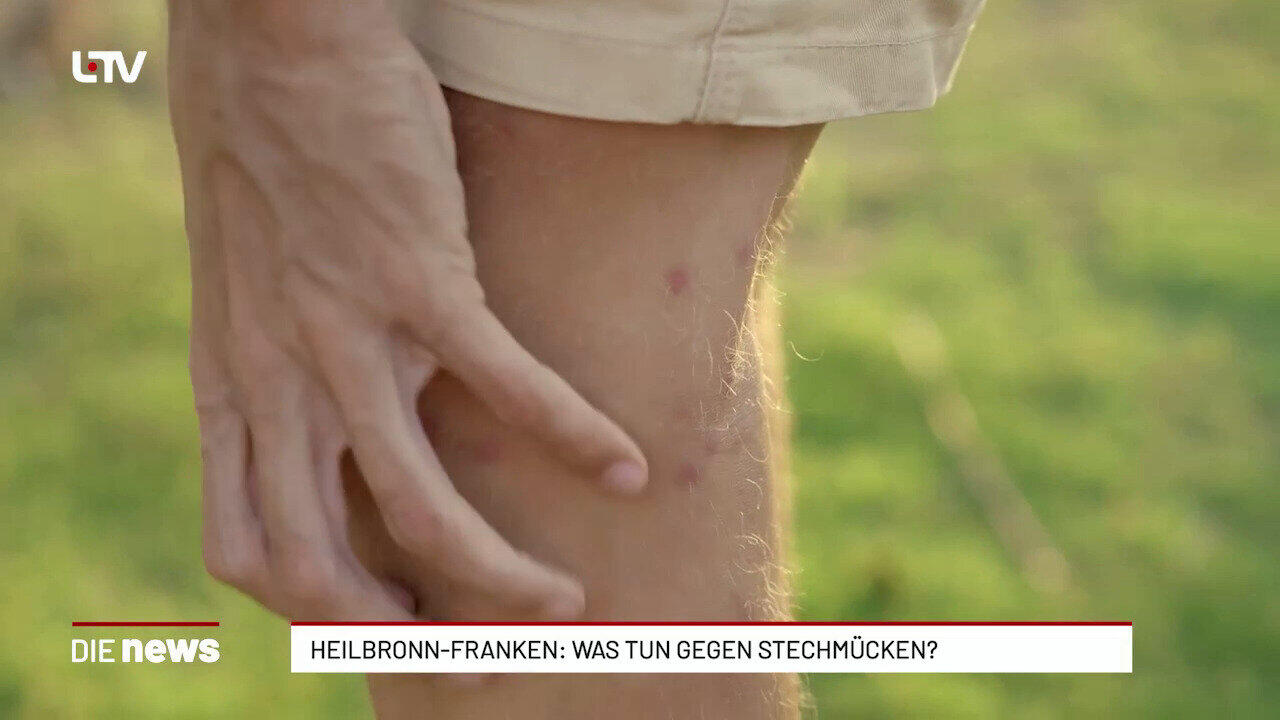 Heilbronn-Franken: Was tun gegen Stechmücken?