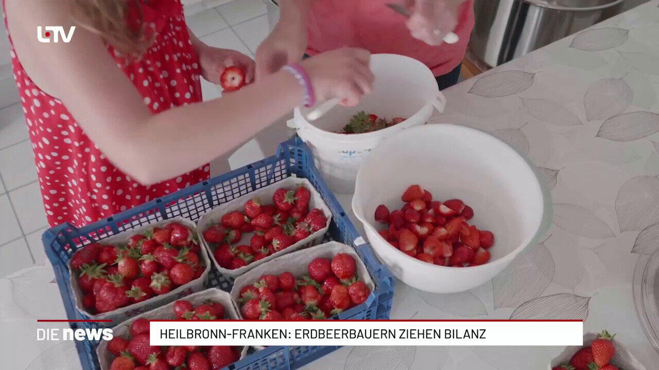Heilbronn-Franken: Erdbeerbauern ziehen Bilanz