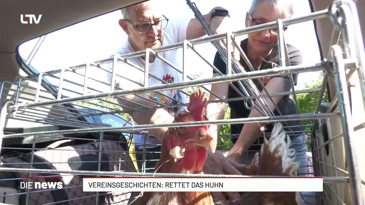Vereinsgeschichten: Rettet das Huhn