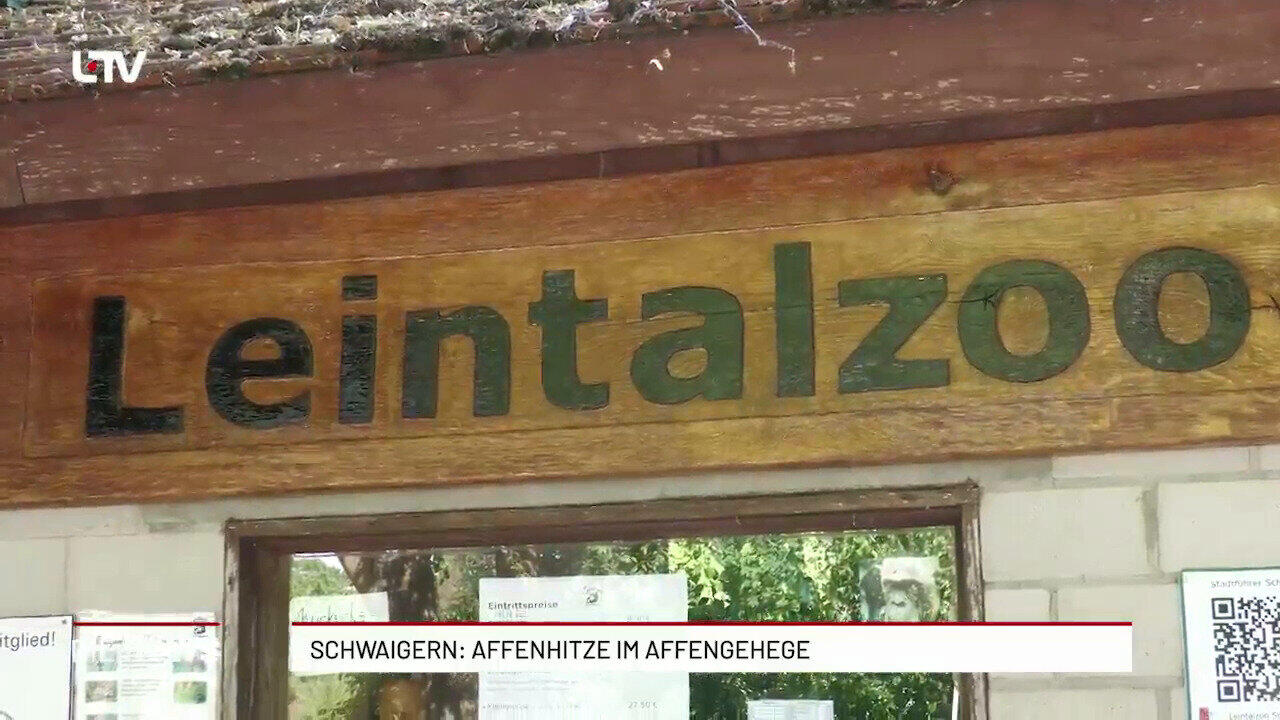 Leingarten: Affenhitze im Affengehege