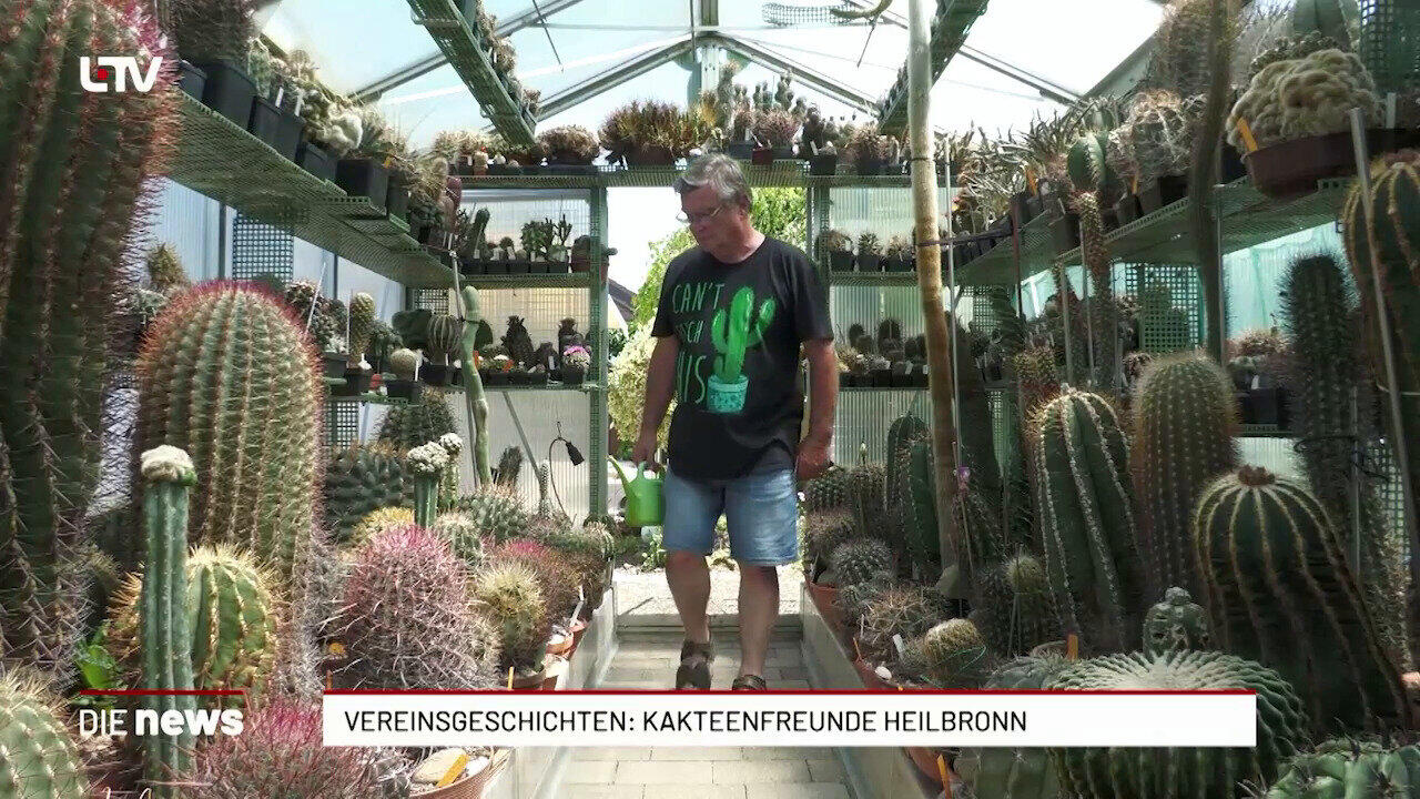 Vereinsgeschichten: Kakteenfreunde Heilbronn
