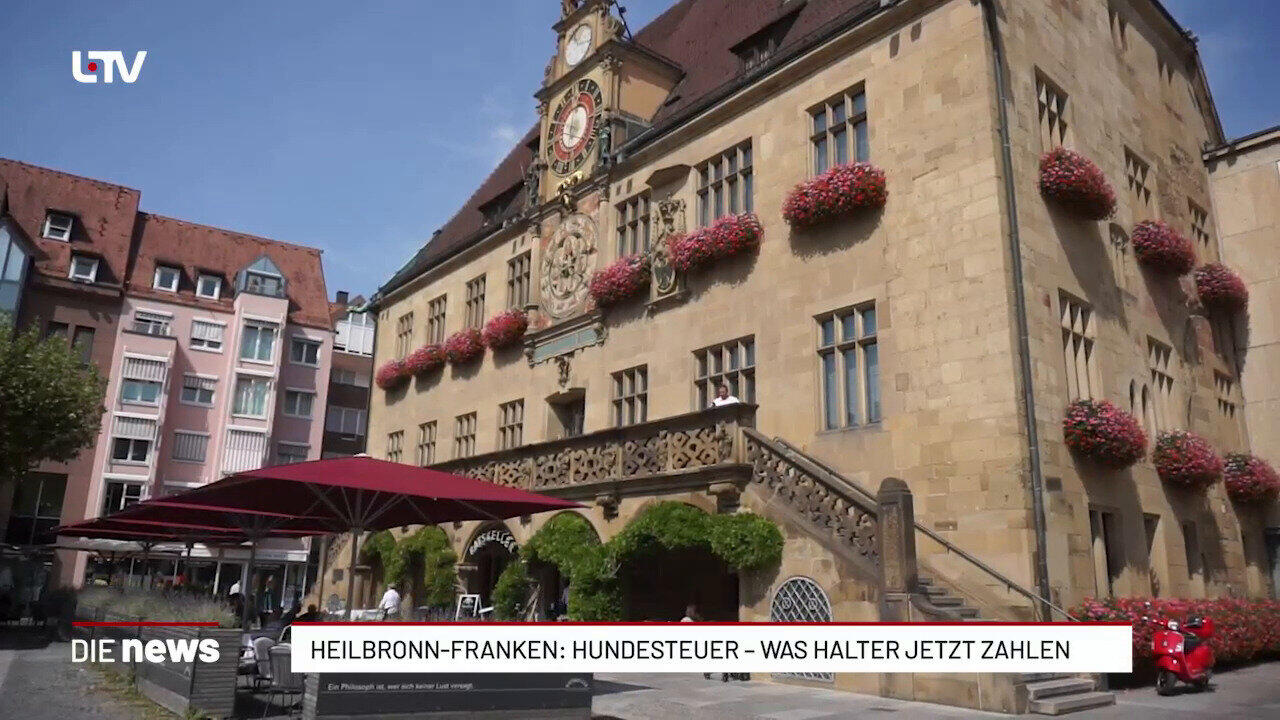 Heilbronn-Franken: Hundesteuer – was Halter jetzt zahlen