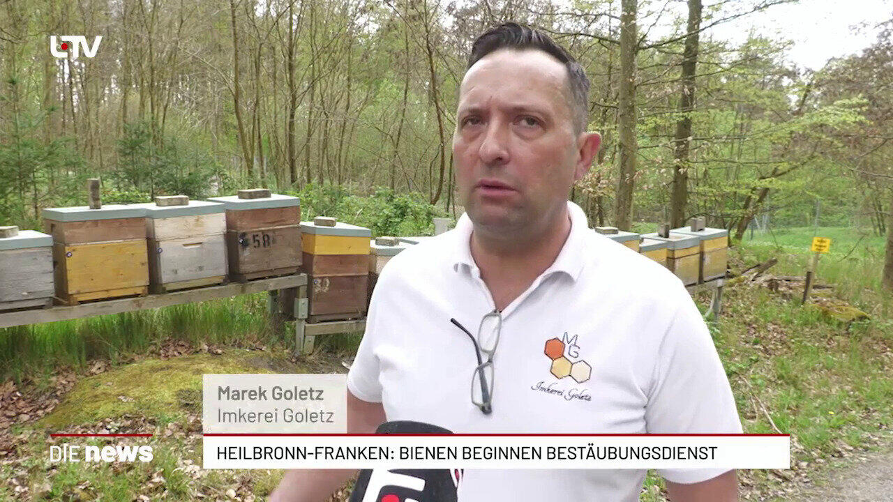 Heilbronn-Franken: Bienen beginnen Bestäubungsdienst