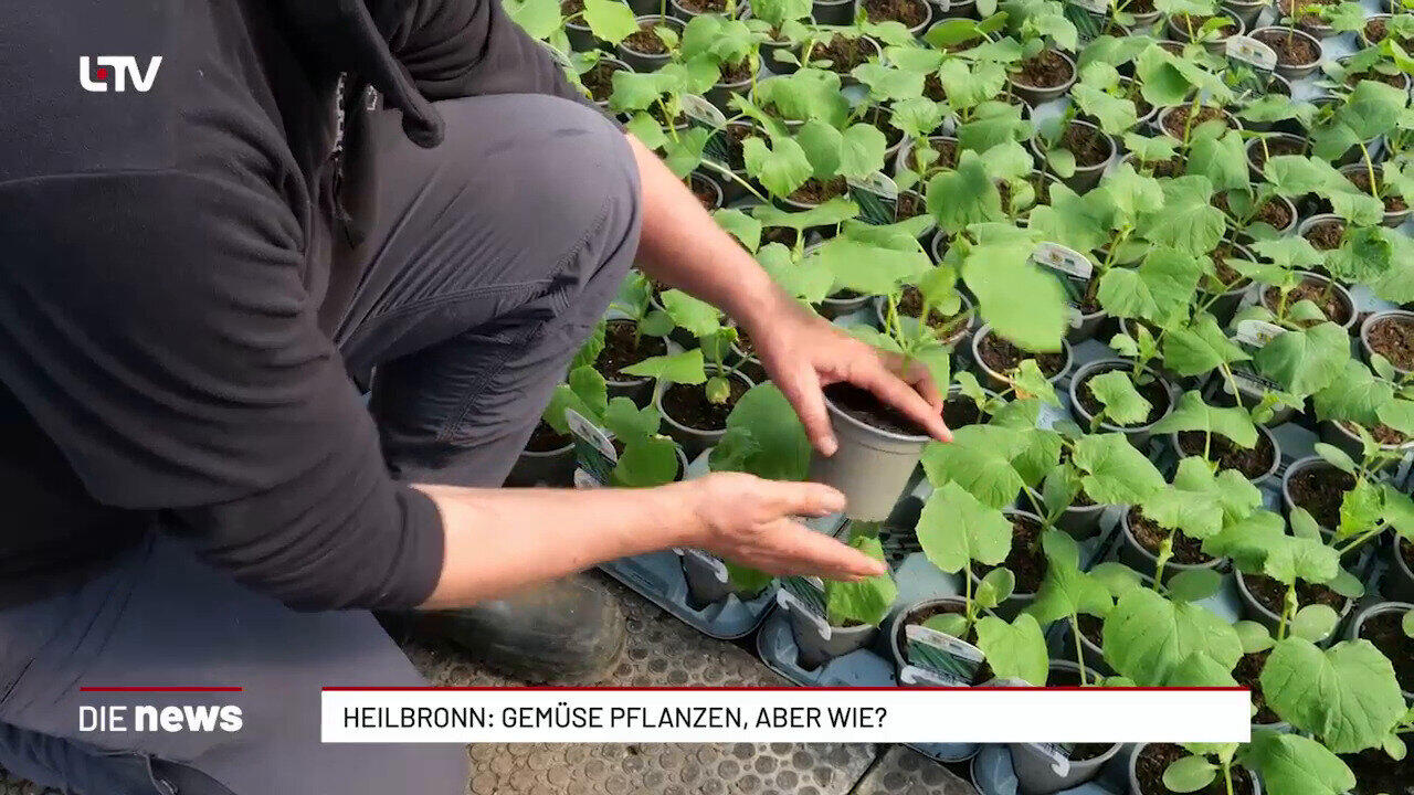  Heilbronn: Gemüse pflanzen, aber wie?