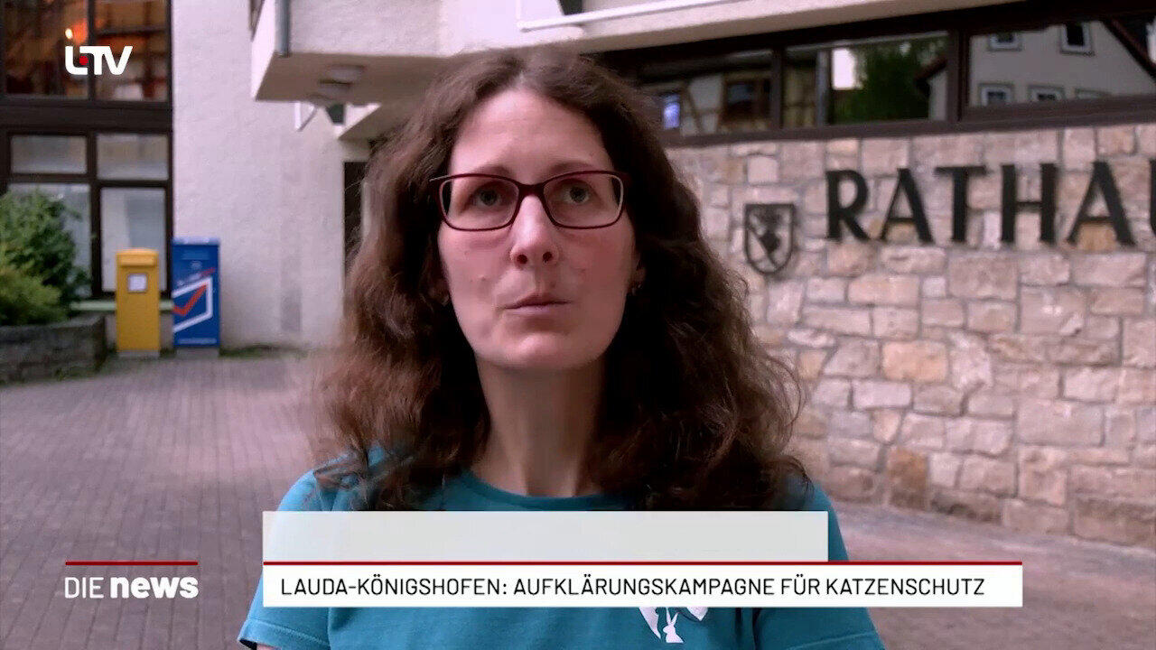 Main-Tauber-Kreis startet Kampagne gegen Katzenleid