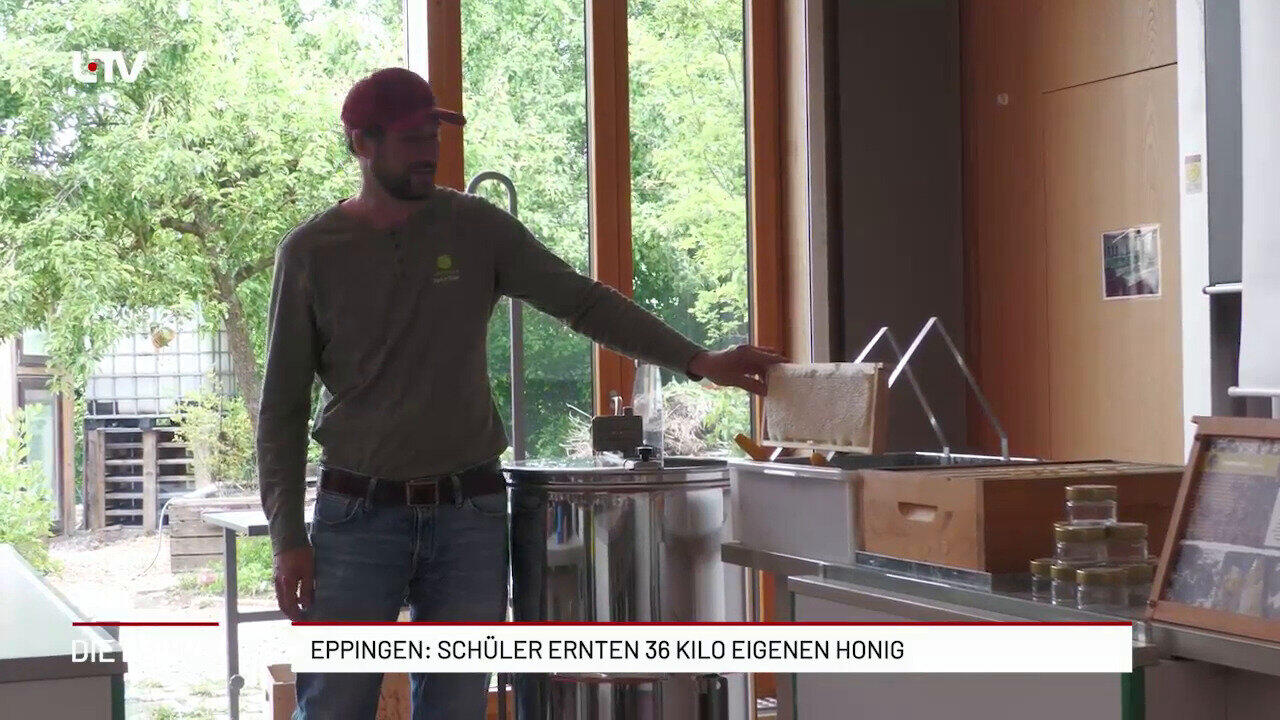 Eppingen: Schüler ernten 36 Kilo eigenen Honig
