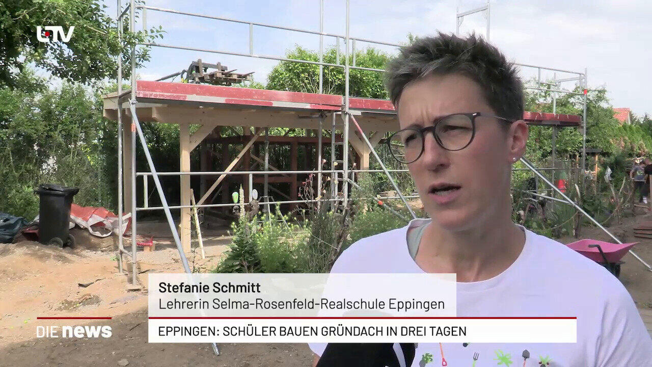Eppingen: Schüler bauen Gründach in nur drei Tagen