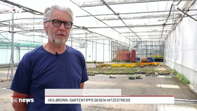 DIE NEWS 24.06.2026
