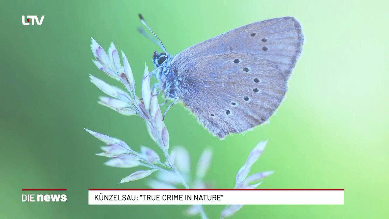 Künzelsau: Die raffiniertesten Verbrechen der Natur
