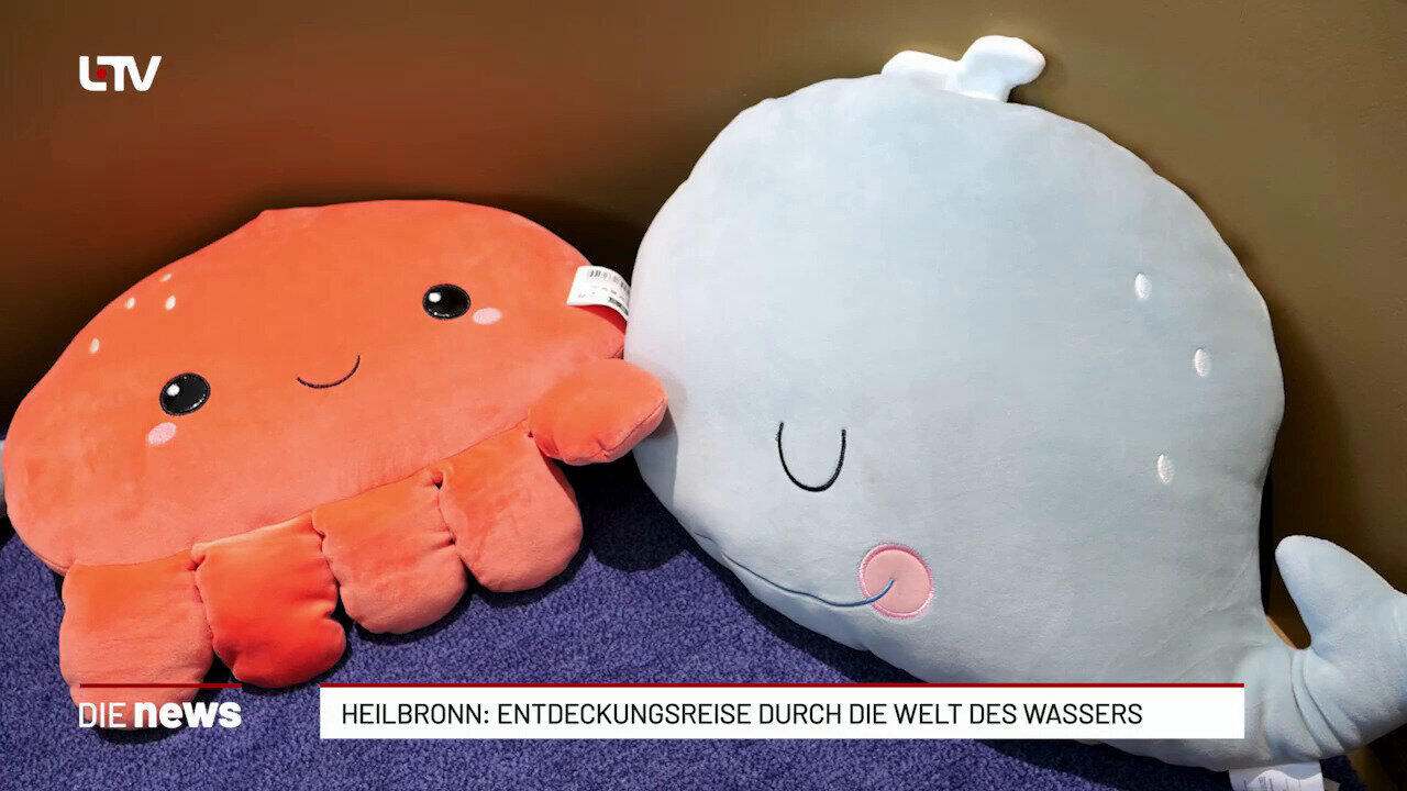Heilbronn: Entdeckungsreise durch die Welt des Wassers