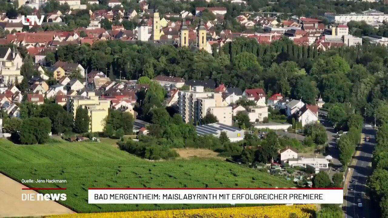 Bad Mergentheim: Maislabyrinth schließt nach sechs Wochen