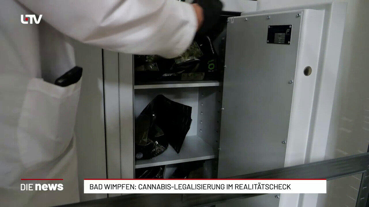 Bad Wimpfen: Cannabis Social Club wächst trotz strenger Regeln