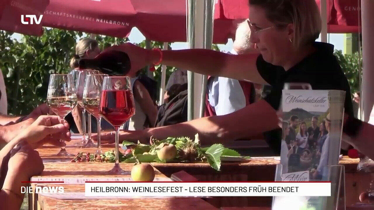Heilbronn: Weinjahrgang 2026 verspricht Spitzenqualität