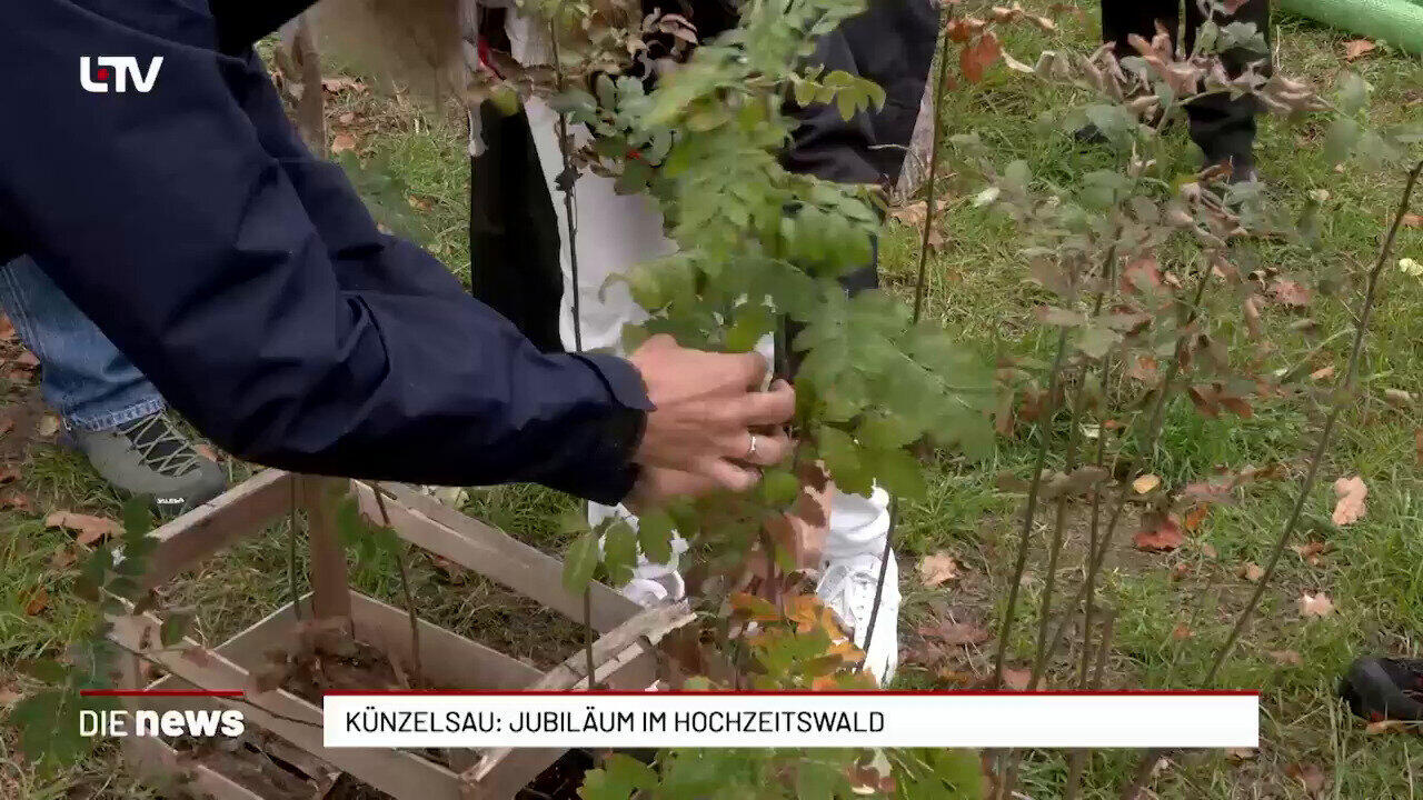 Künzelsau: Hochzeitswald wächst auf 104 Bäume