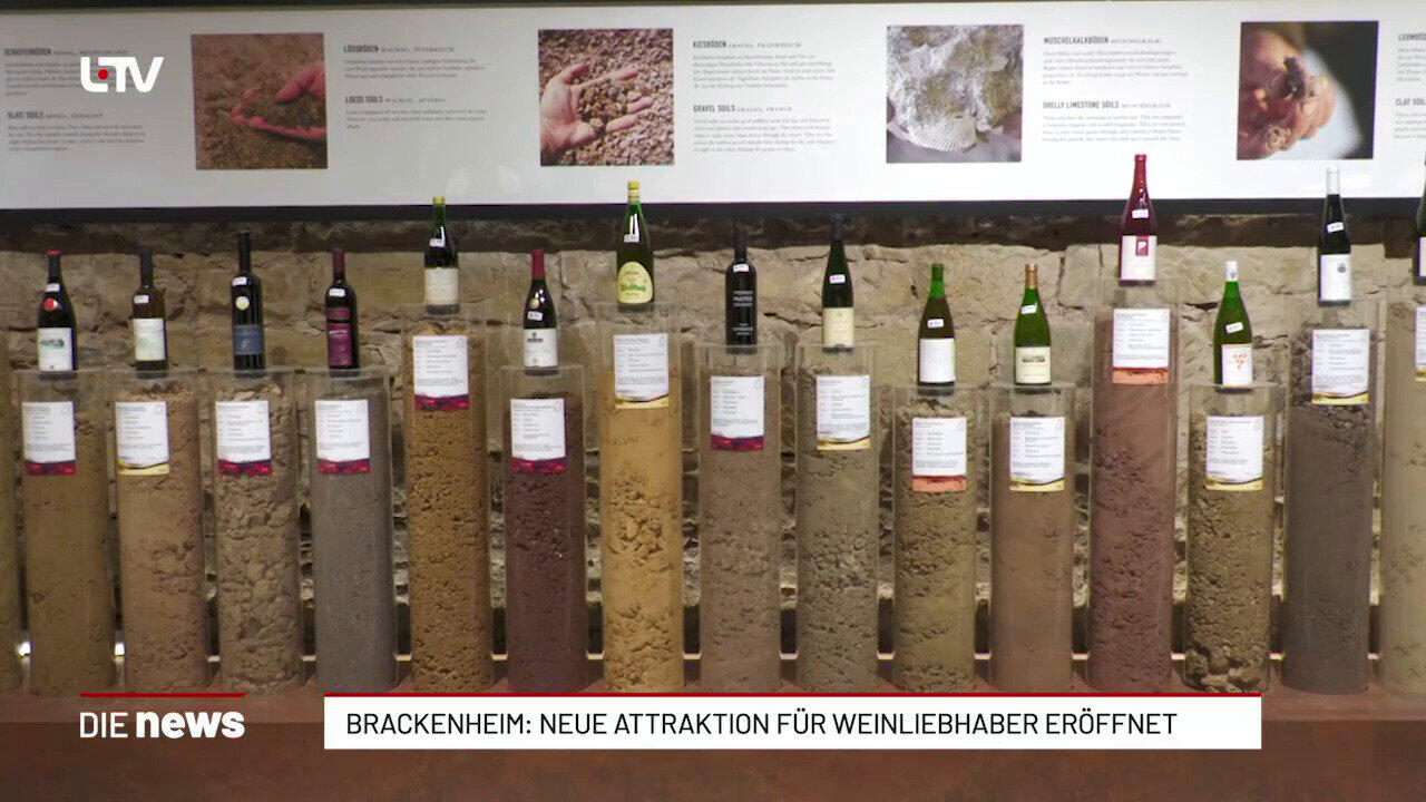 Brackenheim: Deutsche Weinwelt öffnet ihre Türen