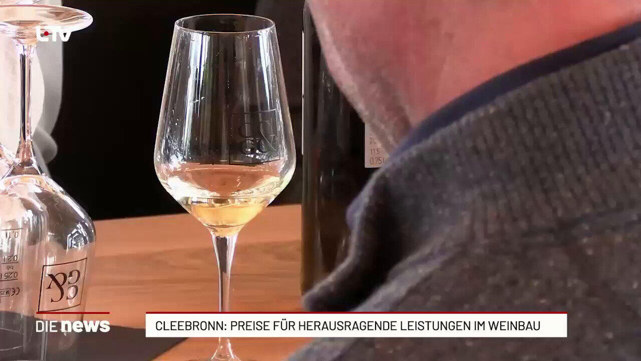 Cleebronn: Weinprämierung würdigt Spitzenleistungen