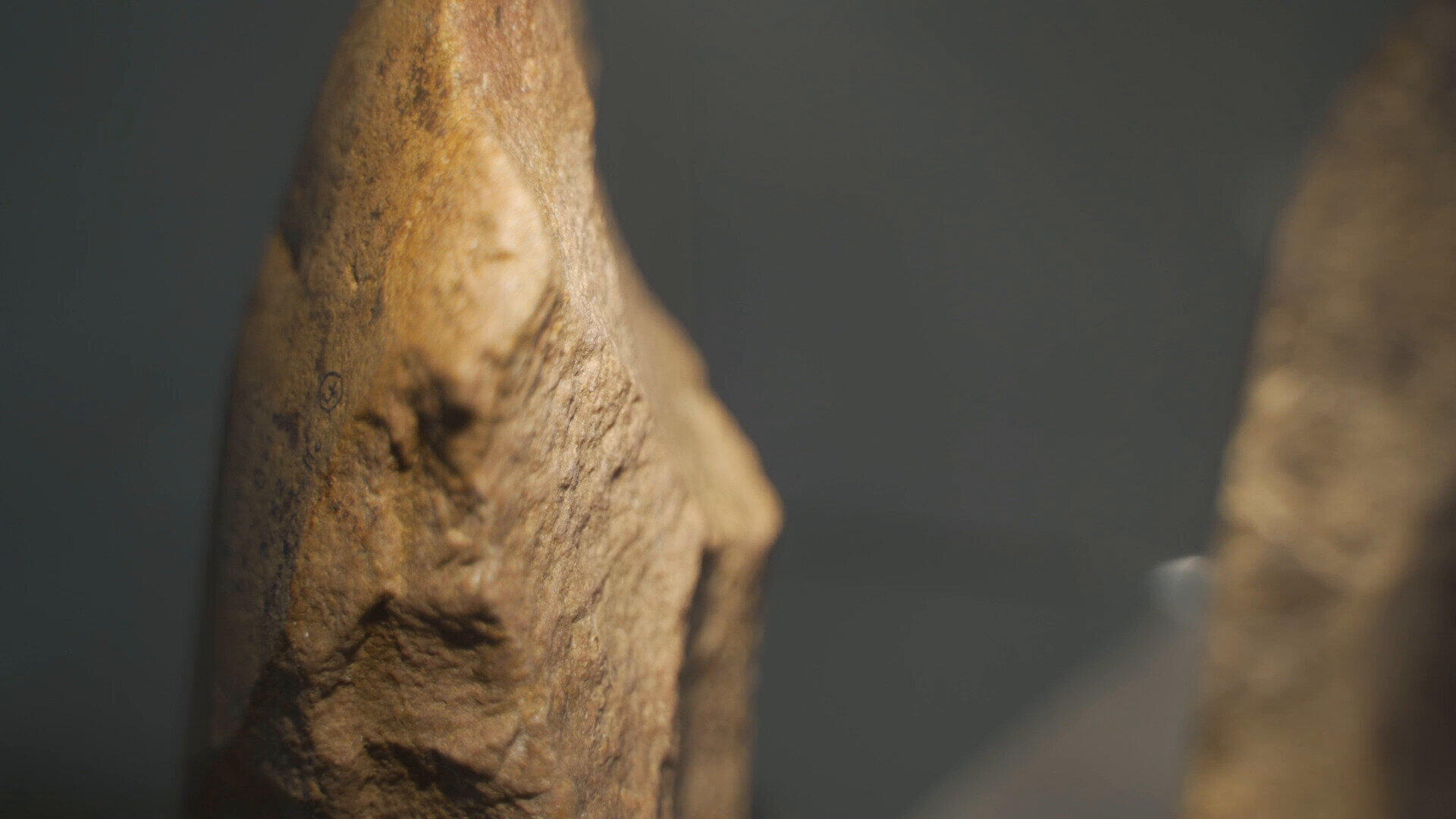 Haus der Archäologie - Dauerausstellung 