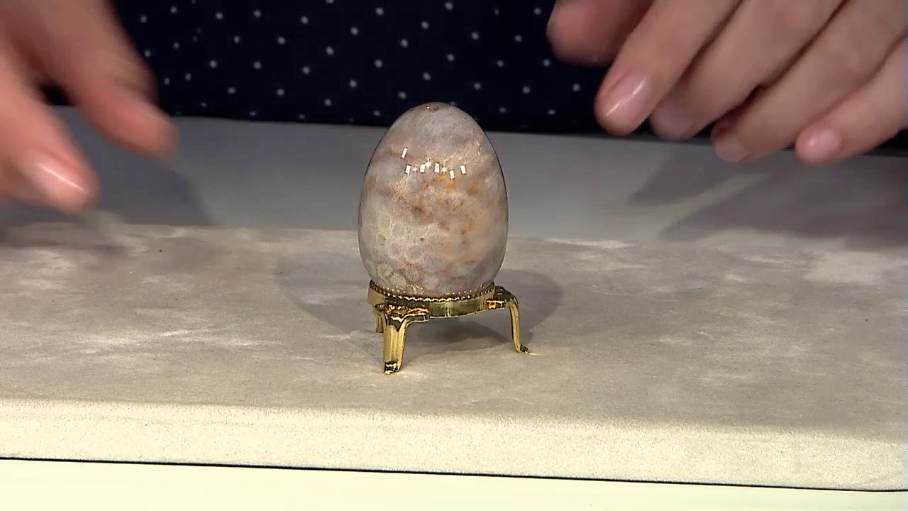 Letzte TV-Show ansehen