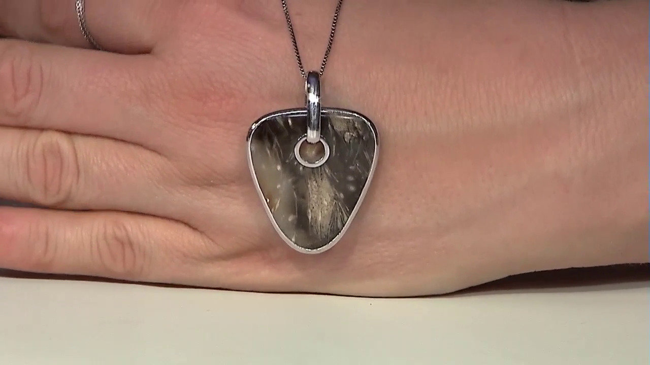 Video Zilveren hanger met een Versteend hout