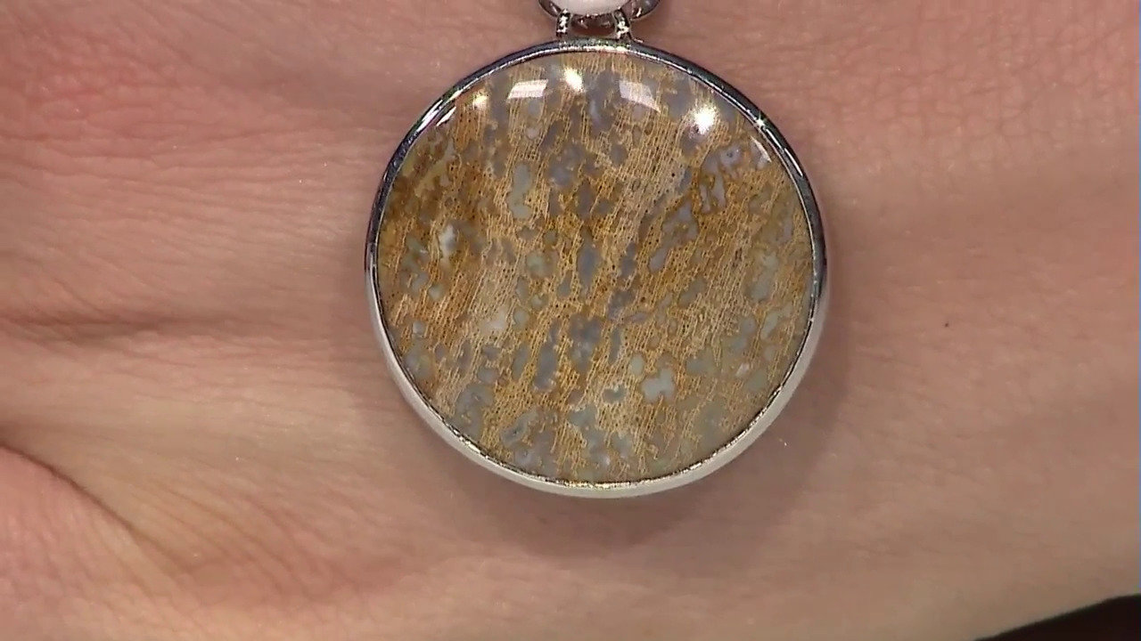 Video Petrified Wood Silver Pendant