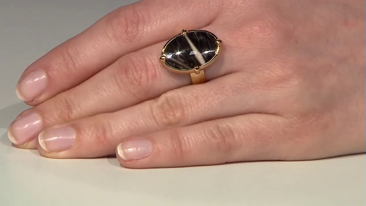Video Zilveren ring met een Lof Agaat