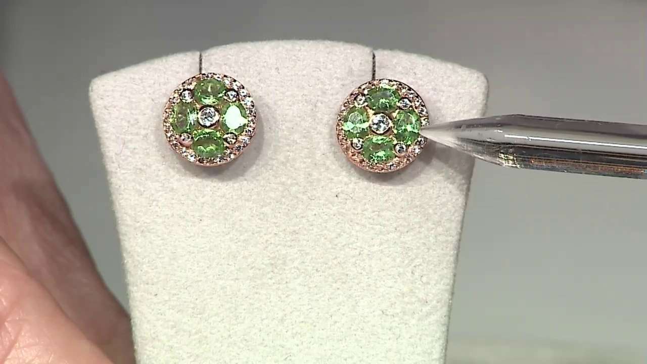 Video Boucles d'oreilles en argent et Grenat Tsavorite