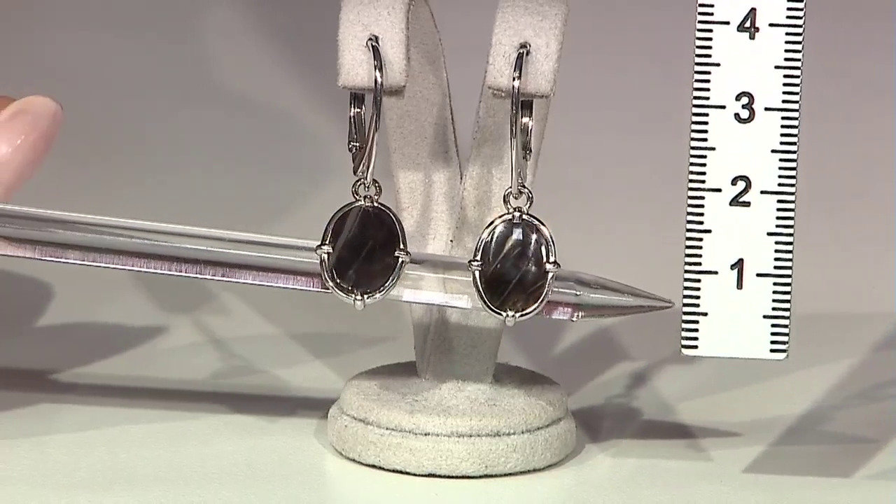 Video Zilveren oorbellen met Lof Agaten