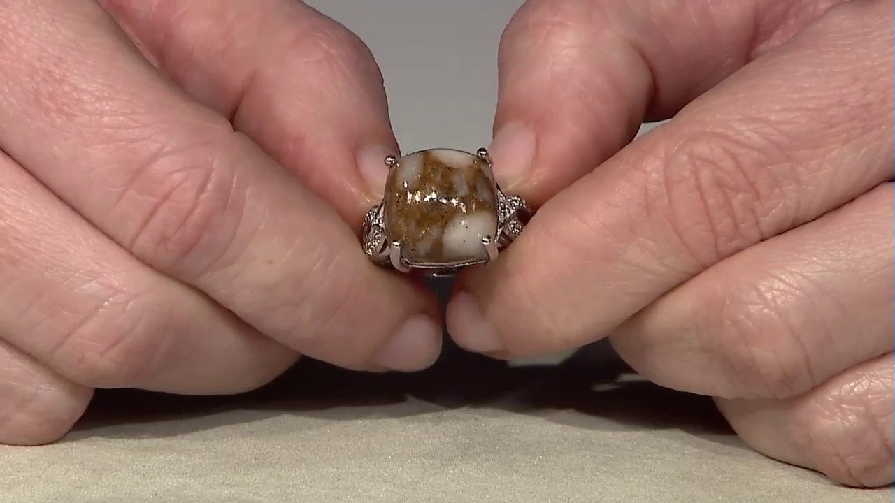 Video Dinosaur Bone Silver Ring