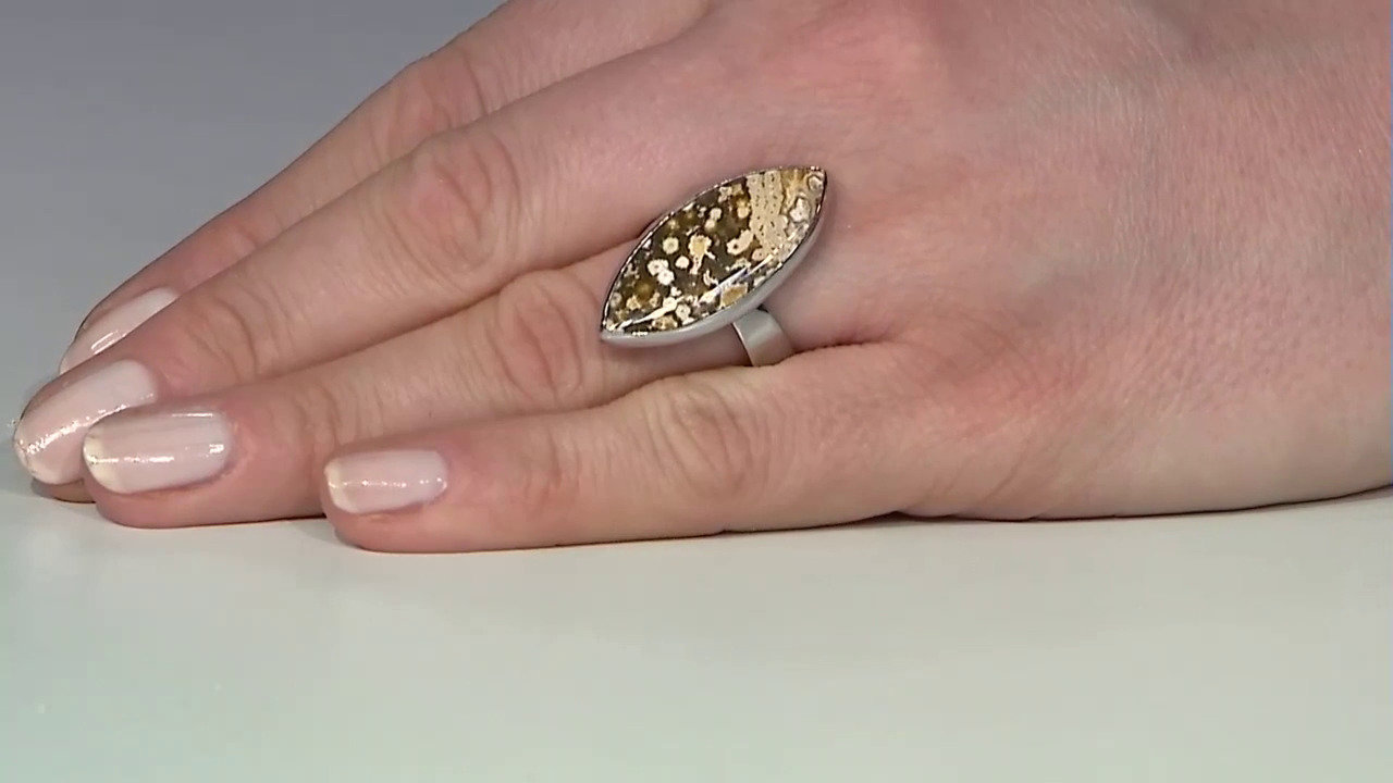 Video Zilveren ring met een oceaan jaspis