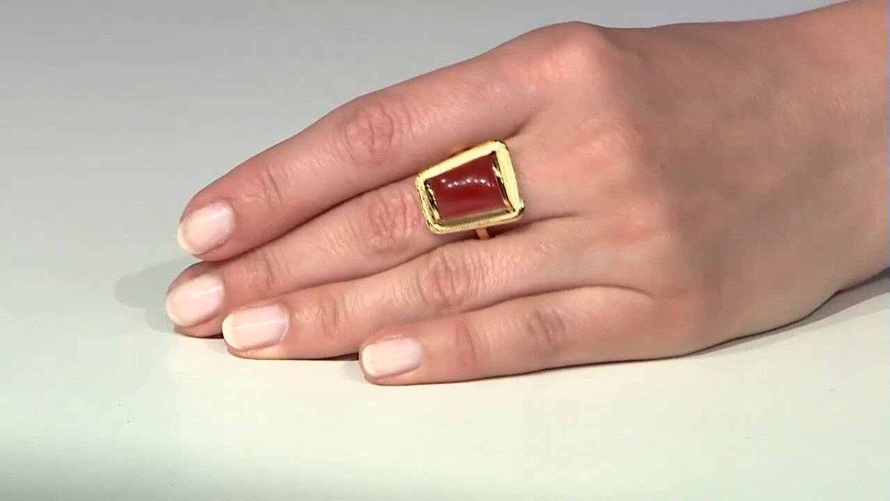 Video Zilveren ring met een Rode onyx (MONOSONO COLLECTION)