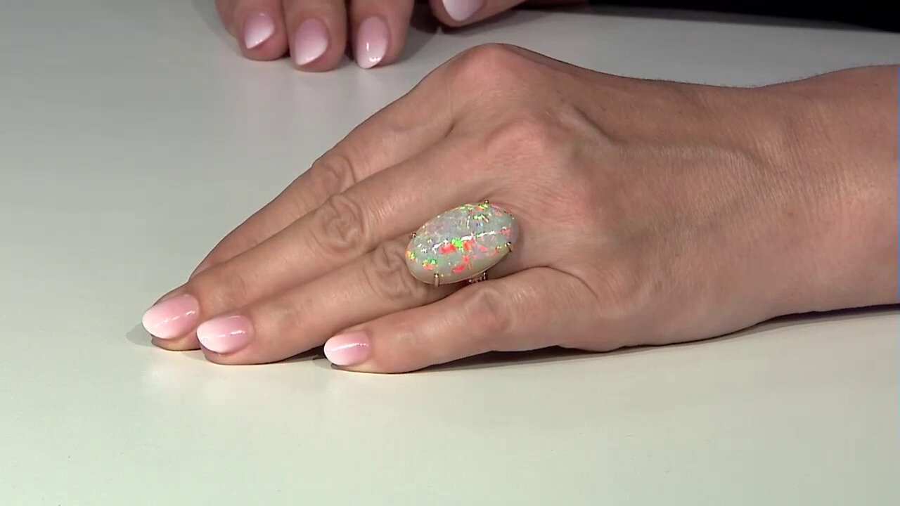 Letzte TV-Show ansehen