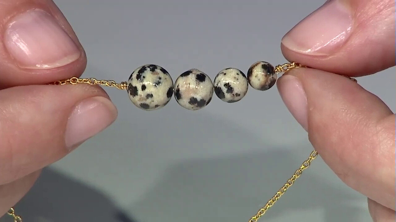 Video Zilveren armband met een Dalmatiër Jaspis