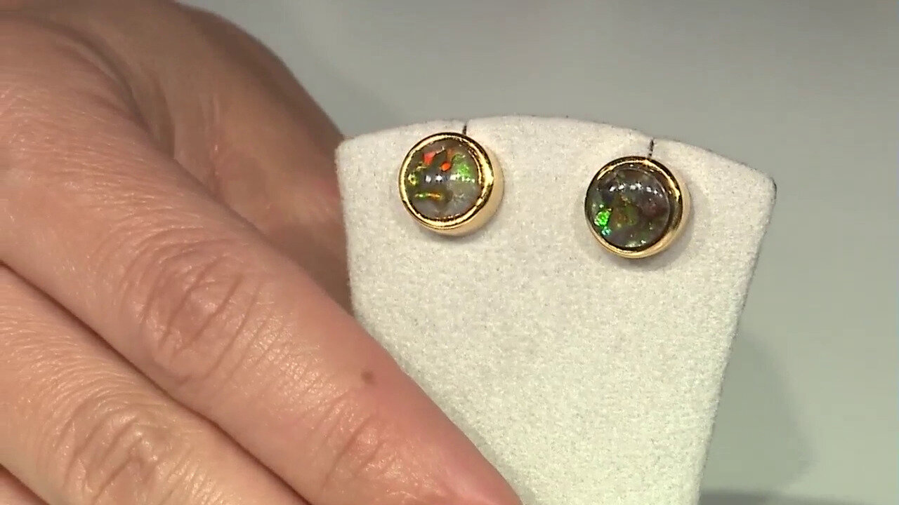 Video Ammolite Silver Earrings