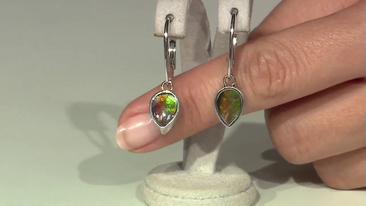 Video Ammolite Silver Earrings