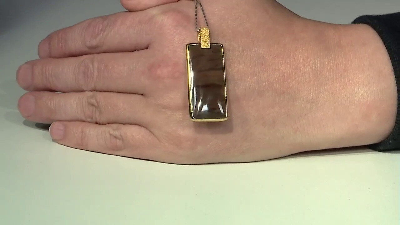 Video Zilveren hanger met een Versteend hout