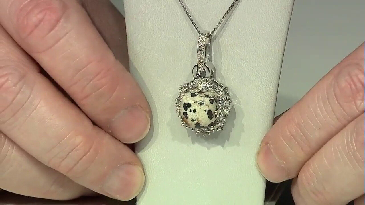 Video Zilveren hanger met een Dalmatiër Jaspis