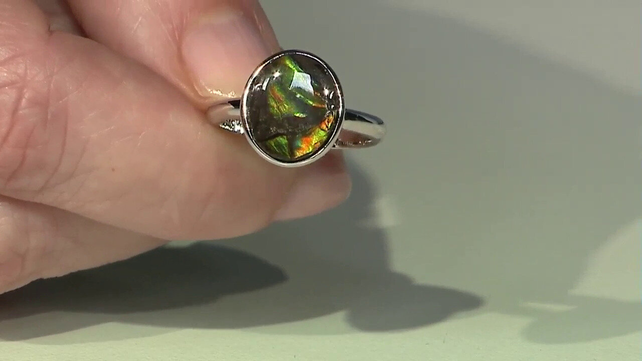 Video Zilveren ring met een ammoliet