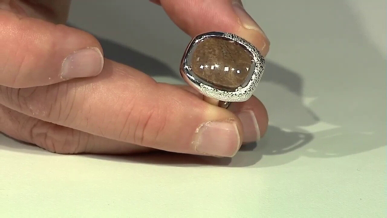 Video Anello in argento con Legno Fossile (dagen)
