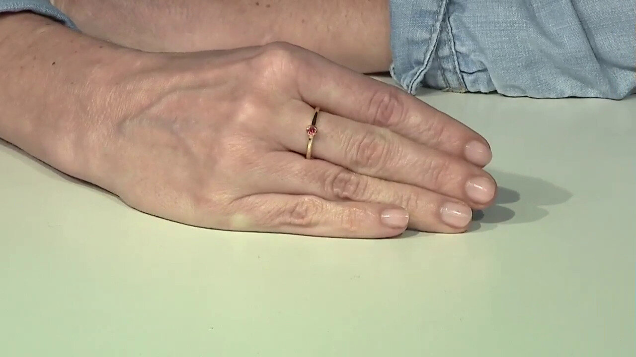 Laatste live aanbiedingen bekijken